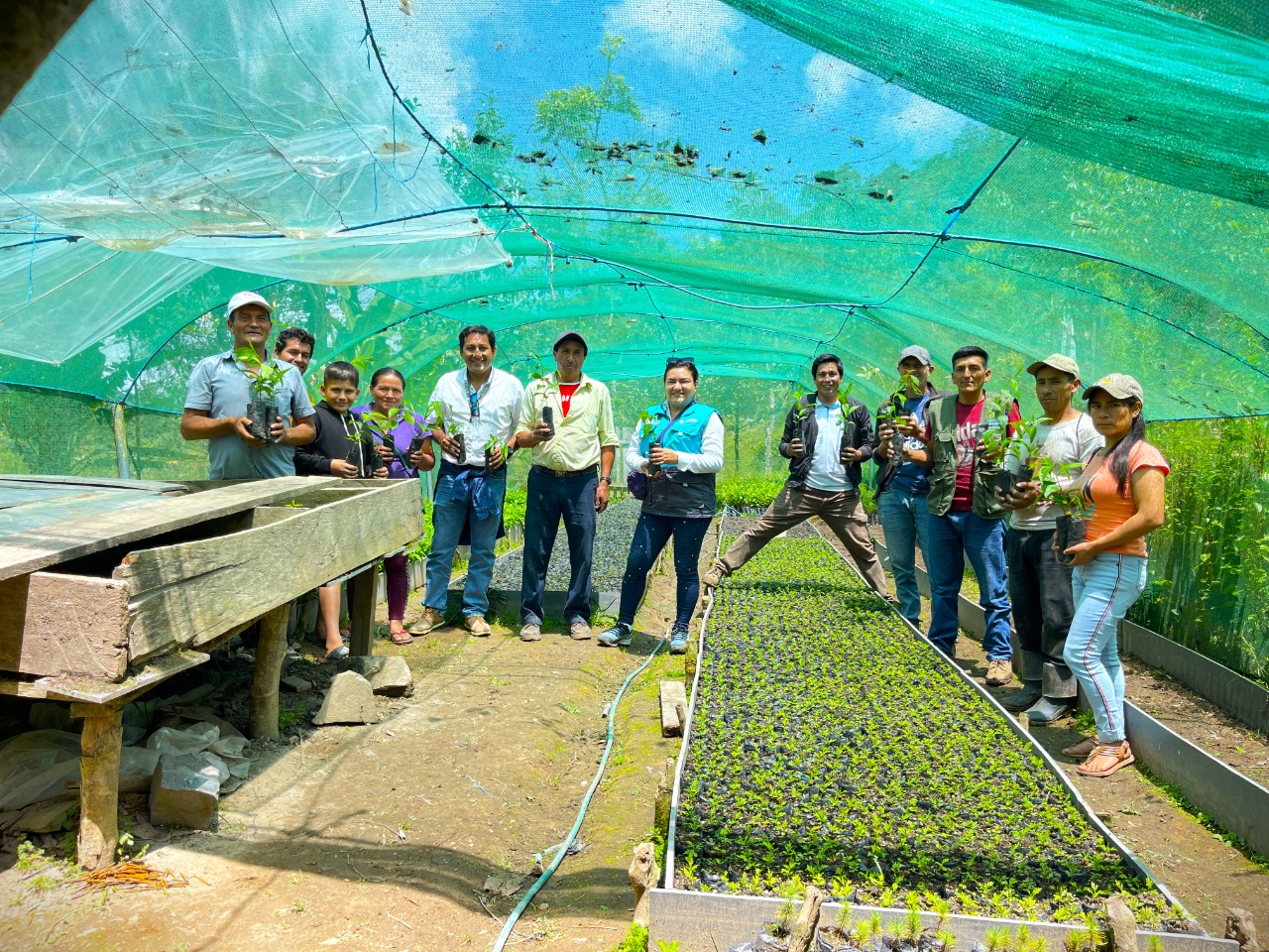 EPS Marañón entrego 2500 plantones  a contribuyentes del MERECE del centro poblado La Virginia